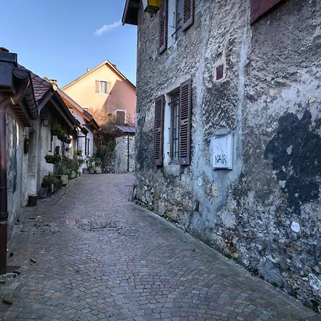 Le Sainte Claire - Aprtement 45 Square Meter In The Center Of Apartment Annecy